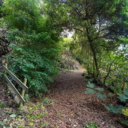 Апартаменти Finca El Molledo El Patio Ікод-де-лос-Вінос Екстер'єр фото