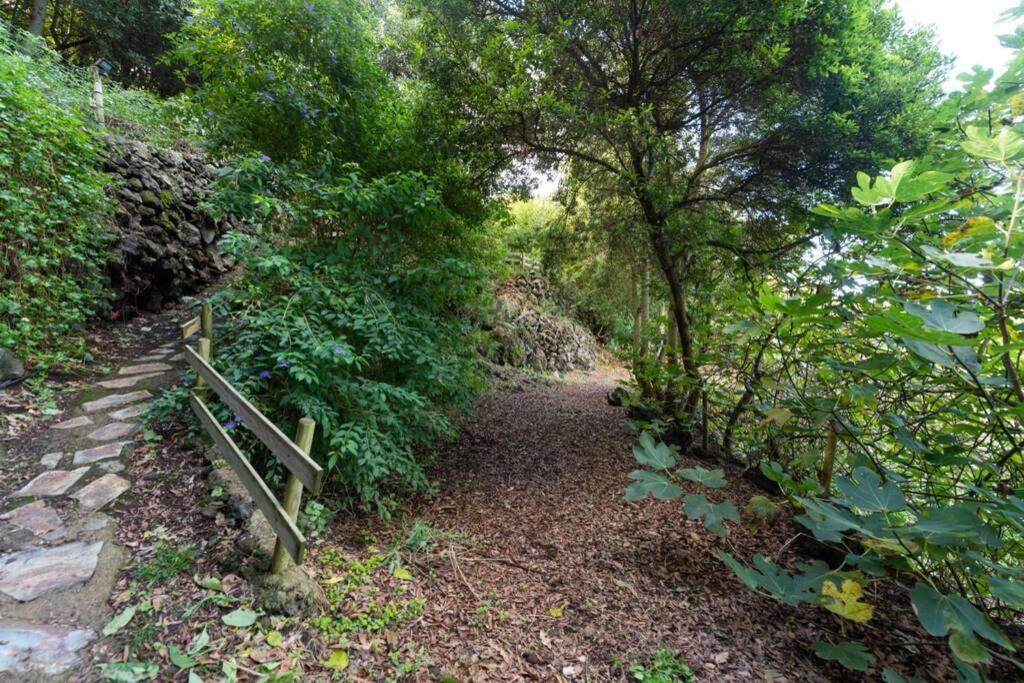 Апартаменти Finca El Molledo El Patio Ікод-де-лос-Вінос Екстер'єр фото